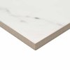 Msi Aria Ice SAMPLE Polished Porcelain Floor And Wall Tile ZOR-PT-0206-SAM